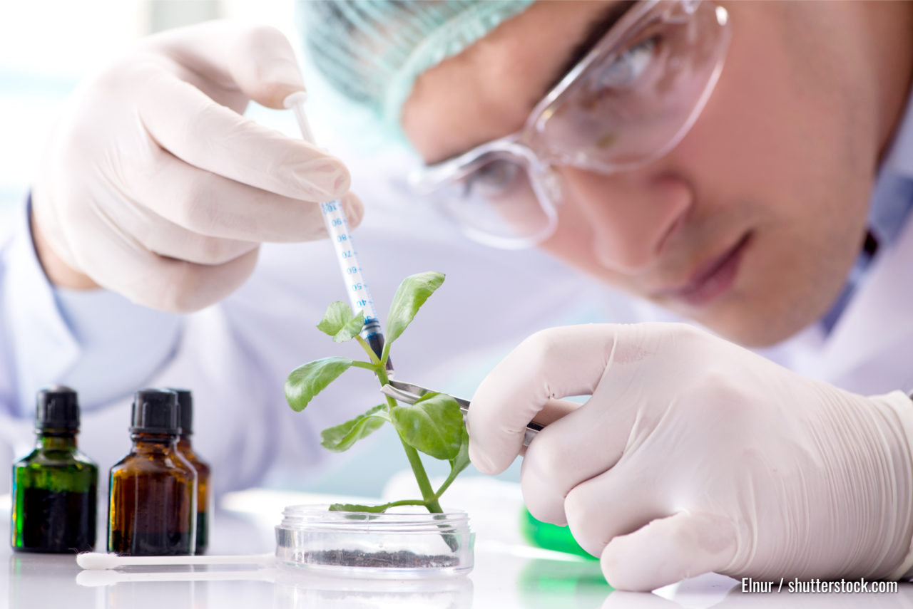 Biotechnologie-Konzept mit Wissenschaftlern im Labor